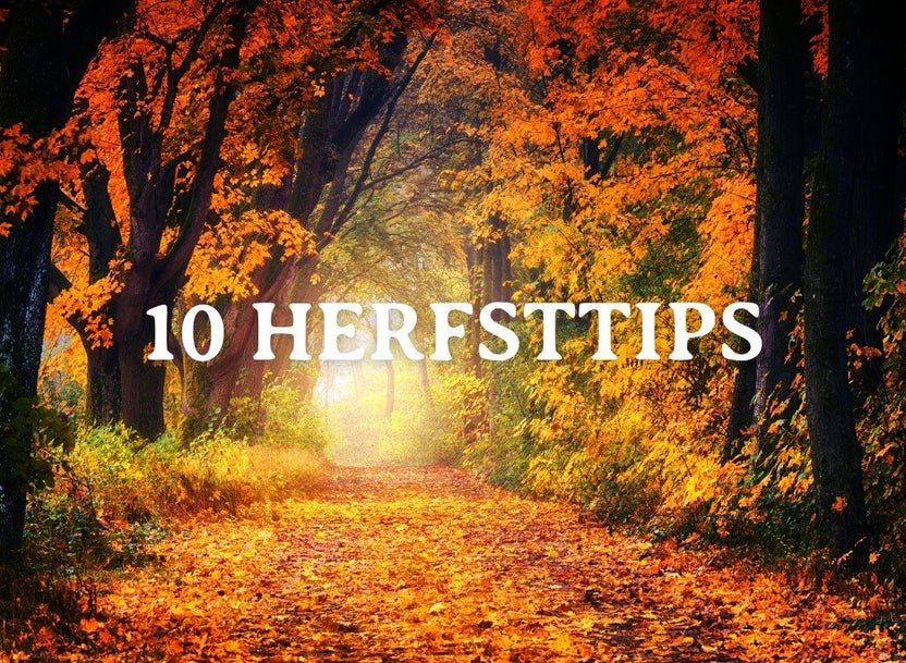 Winterdip + 10 concrete tips: zo voel je je beter in herfst en winter - Arthur’s Breakfast Box