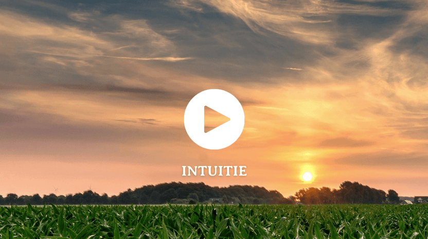 10 min Intuïtie - Arthur’s Breakfast Box