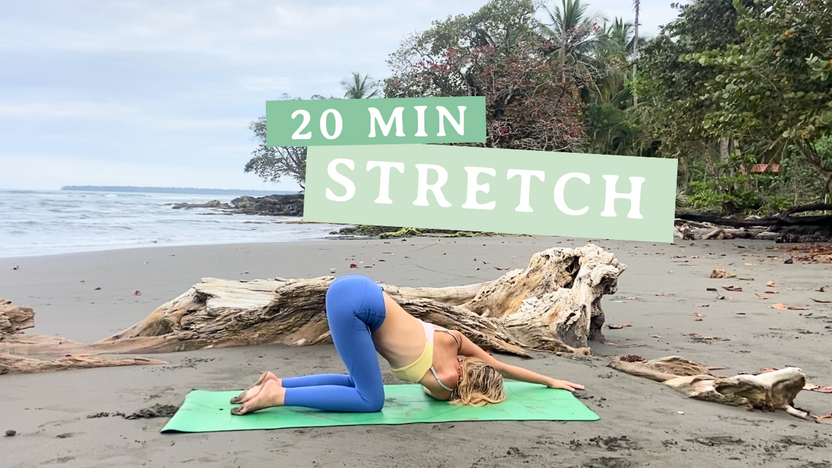 20 min Full Body Stretch