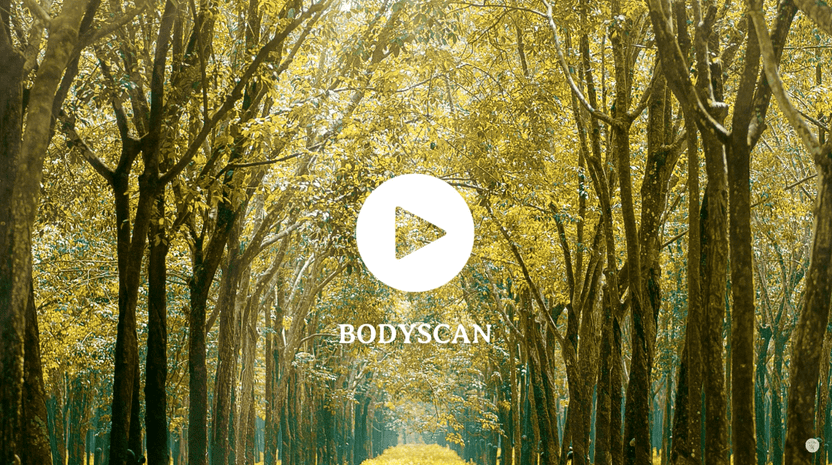 9 min Bodyscan - Arthur’s Breakfast Box