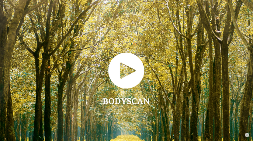 9 min Bodyscan