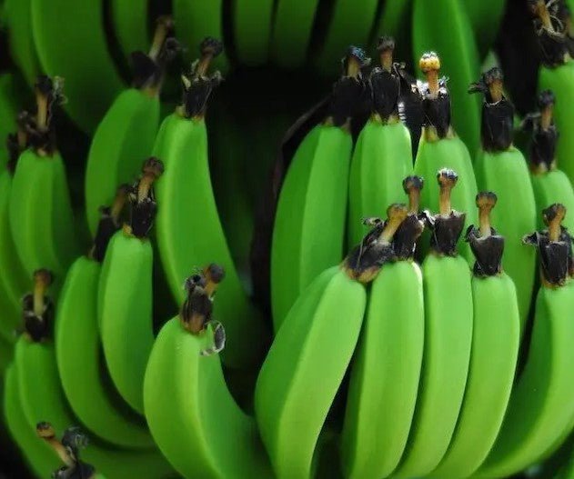 Hoe kan je onrijpe bananen sneller laten rijpen - Arthur’s Breakfast Box