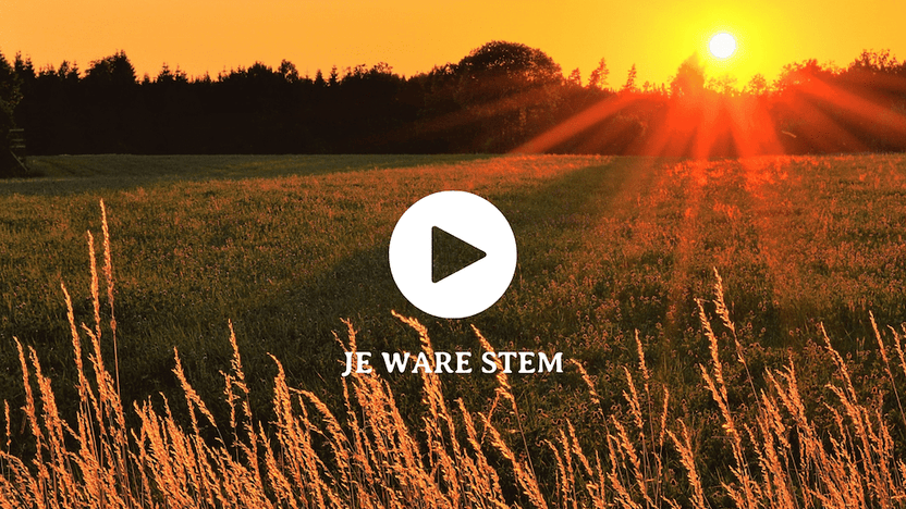 Je ware Stem - Arthur’s Breakfast Box